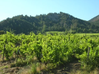 Les prochaines dates