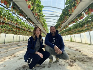 Avec ses 125 hectares de fruits, la ferme de la Blachette voit grand
