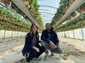 Avec ses 125 hectares de fruits, la ferme de la Blachette voit grand