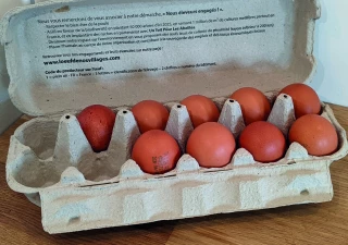  La consommation d’œufs va continuer de croître