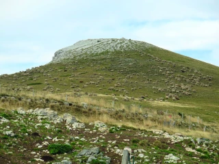 Un engagement collectif au service du pastoralisme alpin