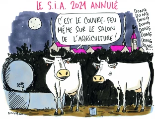 Le dessin de la semaine 43