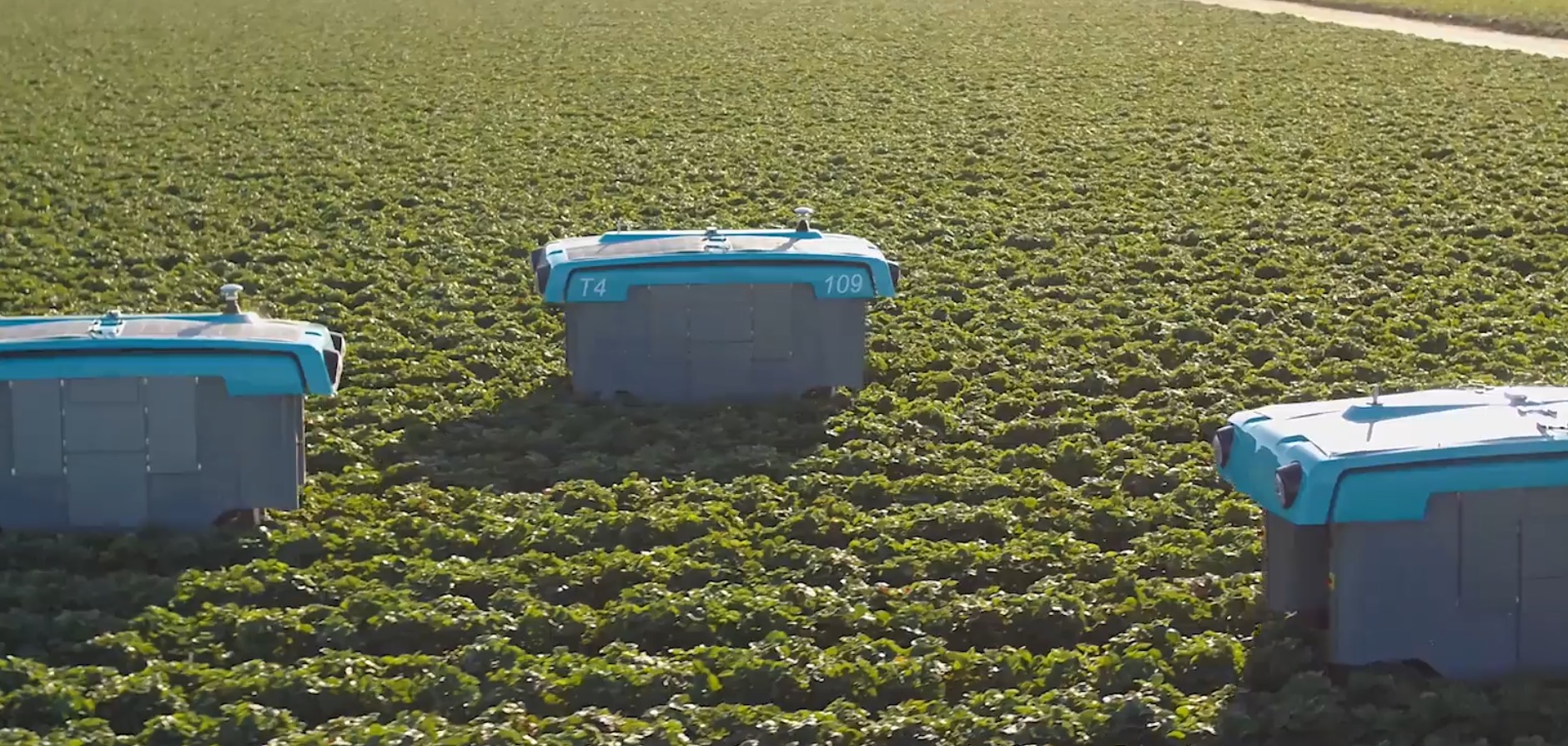 Une filiale du géant Alphabet (Google) dévoile un robot agricole