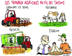 Le dessin de la semaine 44