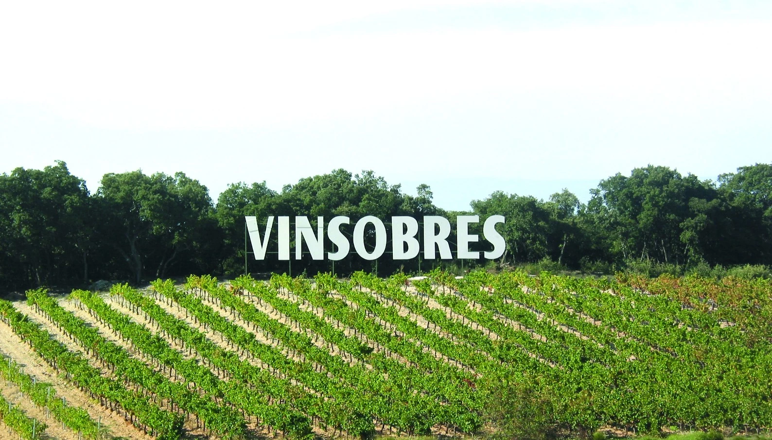 Appellation Vinsobres : un bon cru 2020  
