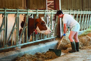 Un début de mixité, mais  encore  loin de la parité