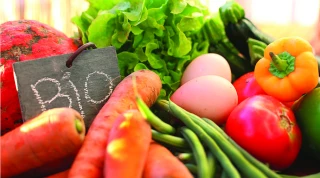 La croissance du bio retombe  au niveau de celle du conventionnel