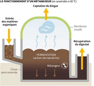 La micro-méthanisation au service des petites exploitations
