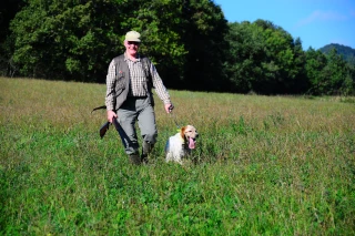 Chasse : autorisée pour les chevreuils, cerfs élaphes et sangliers