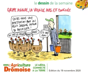 Le dessin de la semaine 47