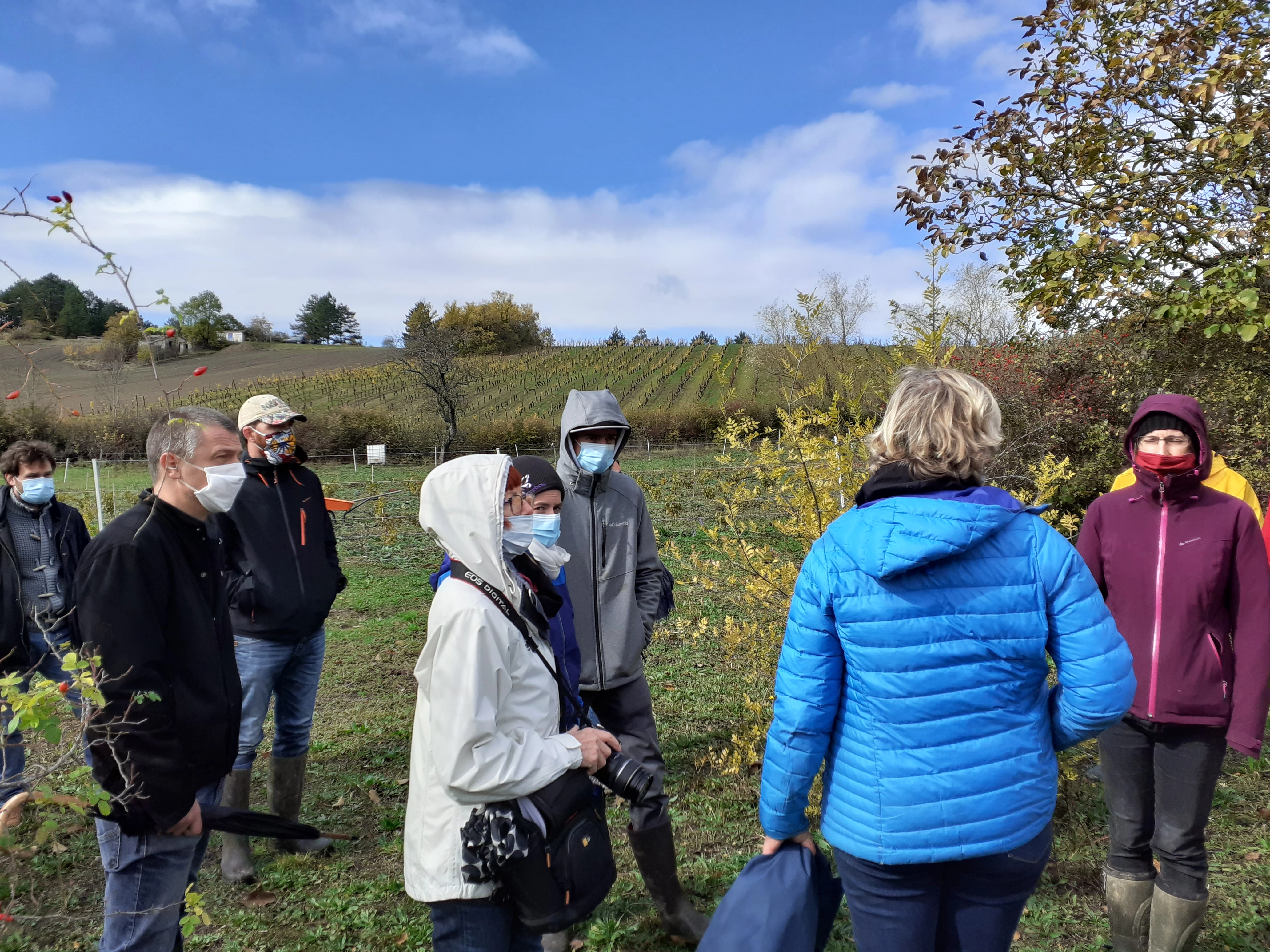 Poulailler mobile : des innovations intéressantes mais...