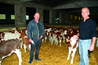 Covid-19 : Bovi-Coop fait preuve de réactivité !