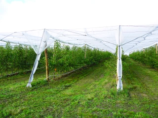 Plan de relance : le détail des premiers 455 M€ du volet agricole