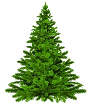 Sapins de Noël : leur vente officiellement autorisée  « en extérieur »