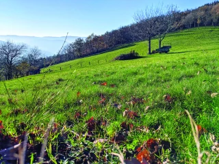 Piégeage du carbone dans les sols :  une solution gagnante pour tous