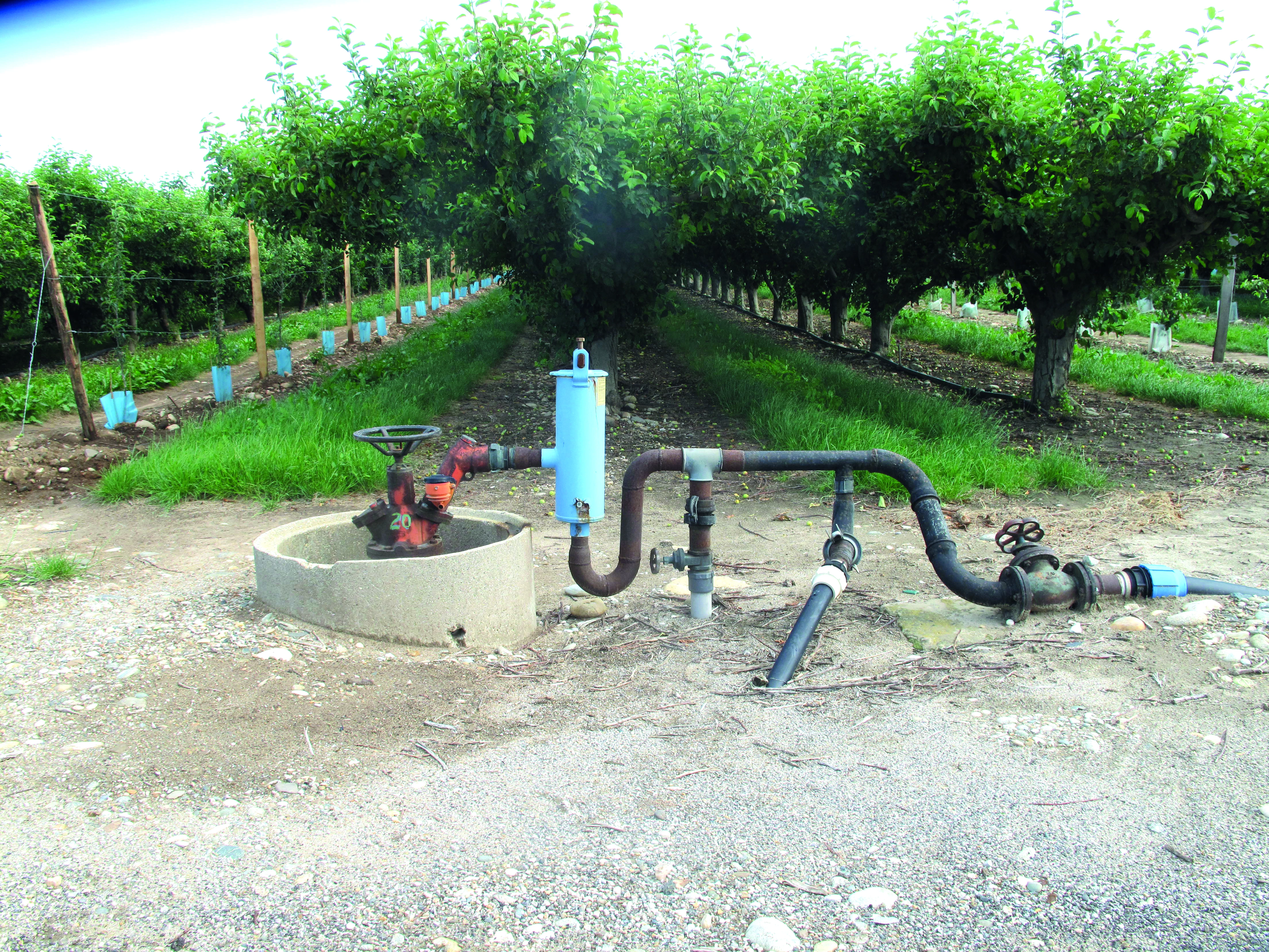 Irrigation : Jean-Pierre Royannez, nouveau président du Sygred