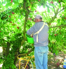 Emploi agricole :  ce qui change en 2021