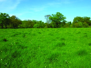 Prairies : l’entretien mécanique,  à utiliser avec parcimonie