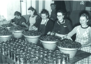 Marrons Imbert : 100 ans  de saveurs et de goût !