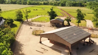 L’écurie active, pour le bien-être des chevaux