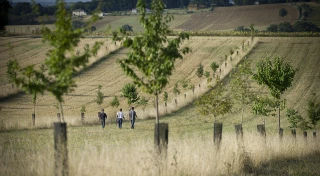 Agroécologie : plus de la moitié des agriculteurs déjà engagés