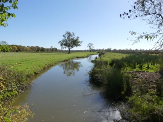 Gestion de l'eau : les Safer privilégient la concertation
