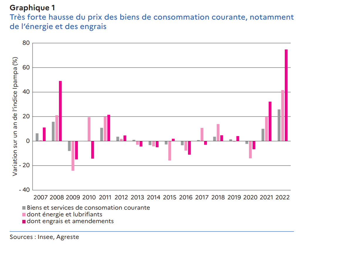 Hausse historique du prix des intrants en 2022