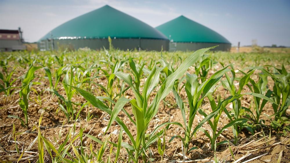 Biométhane : tarif d’achat revalorisé