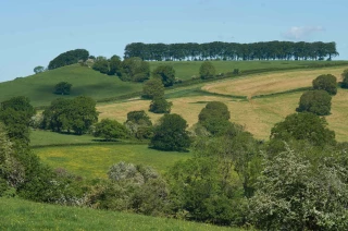 250 millions par an pour restaurer les haies