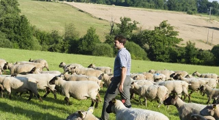 Le revenu agricole s’est nettement amélioré en 2022