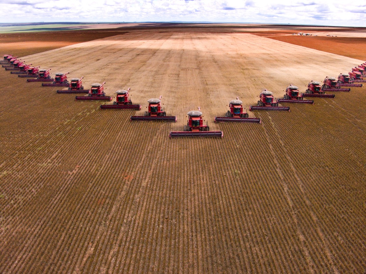 Céréales : vers une production mondiale record