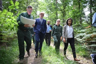 Un nouveau plan pour renouveler les forêts