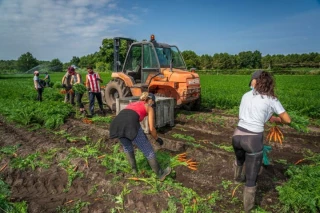 Emploi agricole : légère baisse en 2022
