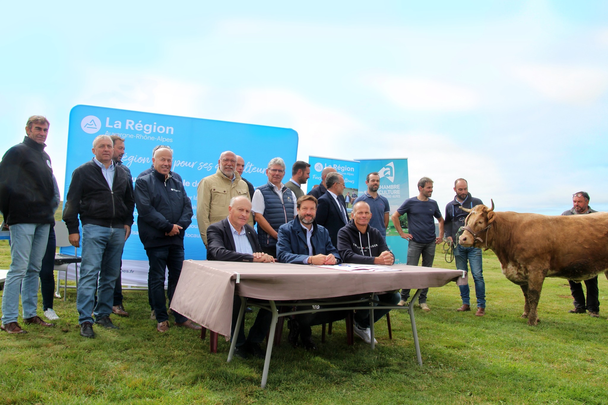 Plans de filière : 6 M€ de crédits réservés pour les bovins viande