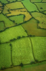 Un pacte en faveur de la haie