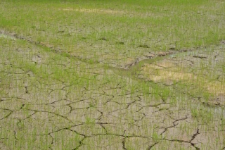 Le nouveau régime d’assurance est bien parti
