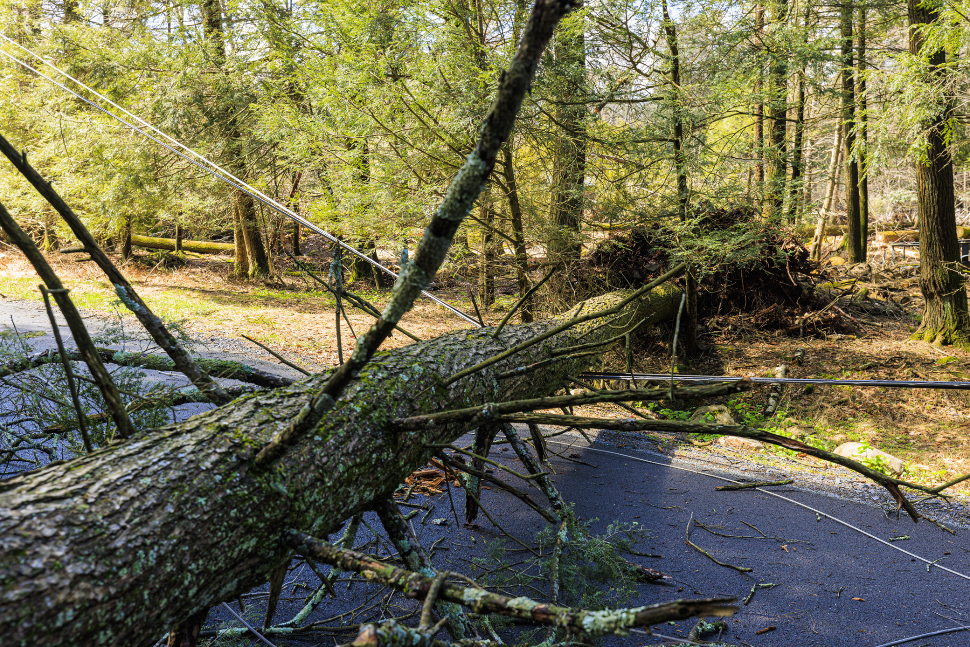 Les catastrophes naturelles, un impact majeur sur l’agriculture