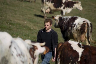 Productivité agricole de l’UE : coup de frein en 2023