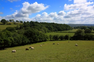 L’Afac appelle à rémunérer les agriculteurs
