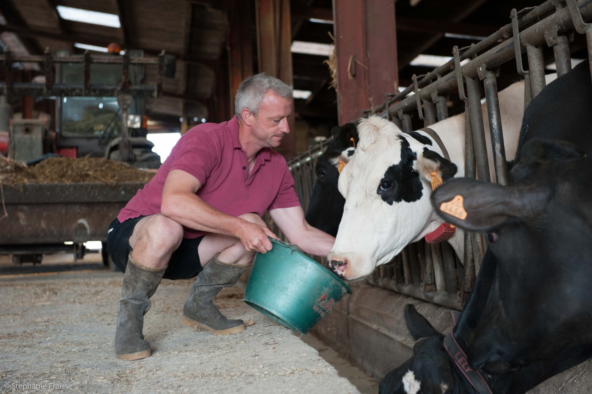 Les éleveurs laitiers plus satisfaits de leurs conditions de vie