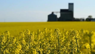 Avril progresse dans un environnement fragile