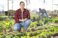 Installation : portraits-types des non issus du milieu agricole 