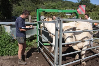 DNC : au cœur de la vaccination