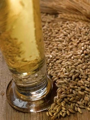Orge et malt : la qualité maintient la compétitivité française
