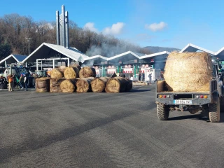 Manifestations agricoles : Pluie de soutiens 