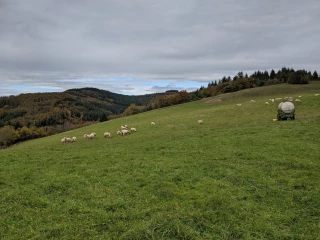 Un mois d’octobre frais et pluvieux