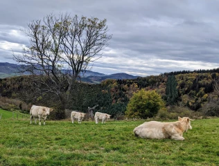 Plan stratégique national : premiers contours et réactions 