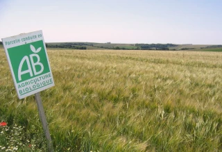 Pac : le Parlement européen valide définitivement les mesures transitoires