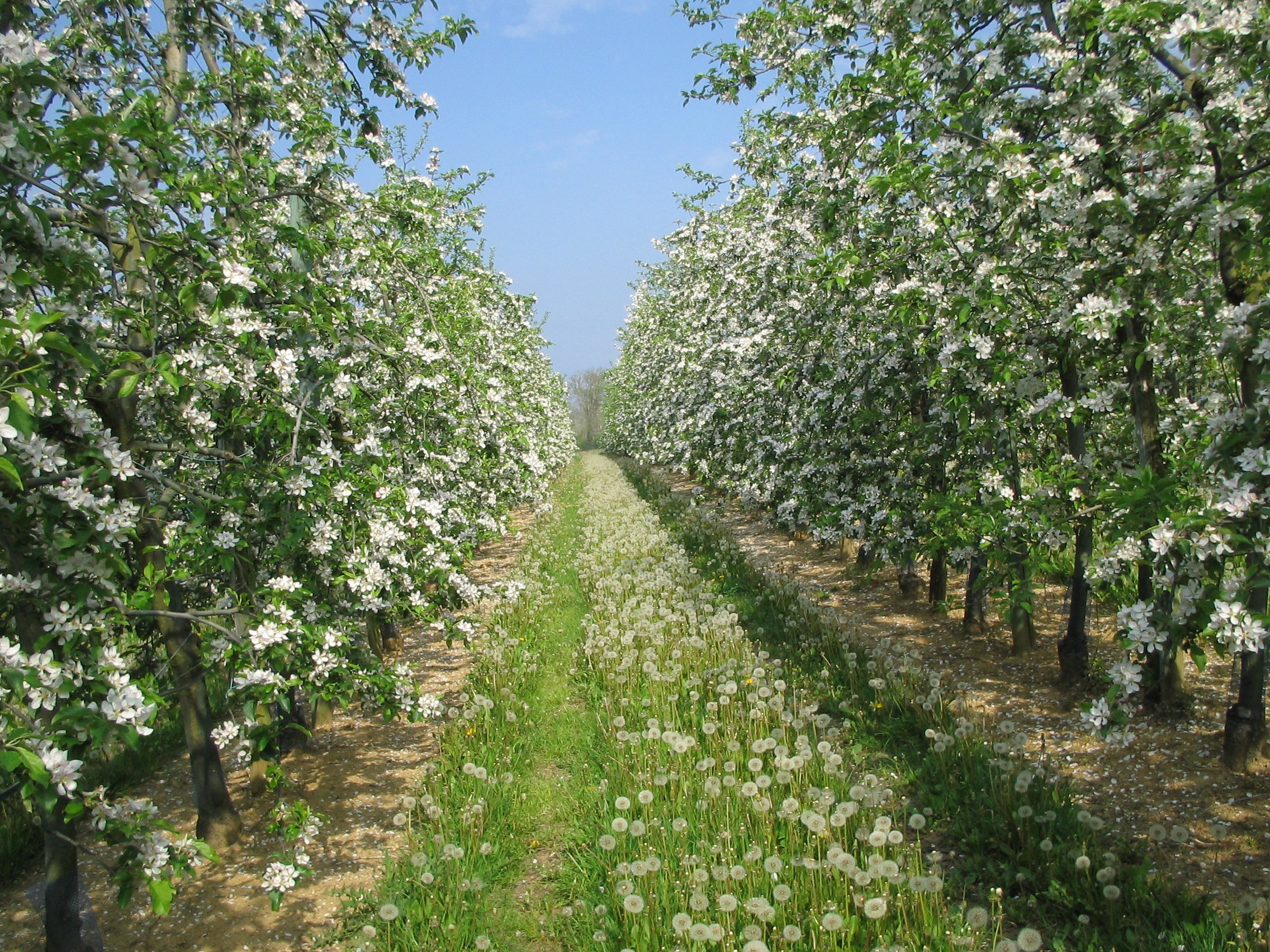 Agroécologie : plus de la moitié des agriculteurs déjà engagés