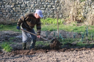 Retraités : plus pauvres à la campagne qu'à la ville